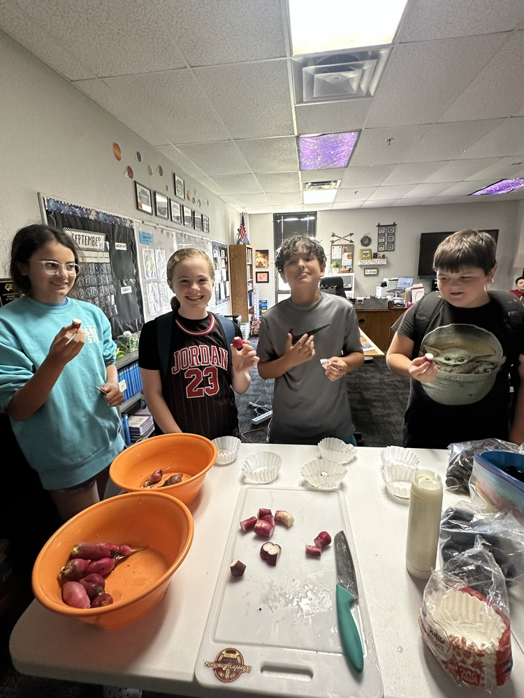 radish tasting