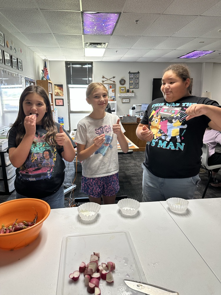 radish tasting