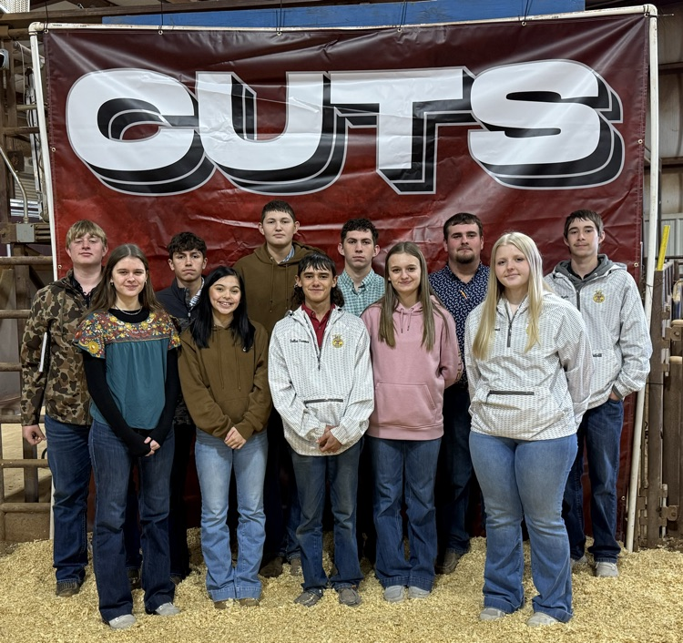 Livestock Judging