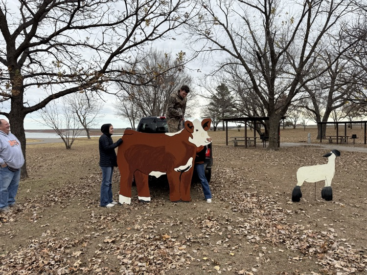 Canton FFA’s lake of lights display