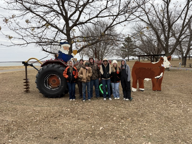 Canton FFA’s lake of lights display