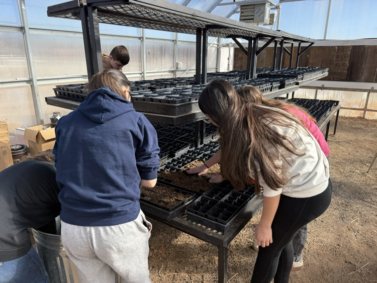 Canton FFA students planting new plants.