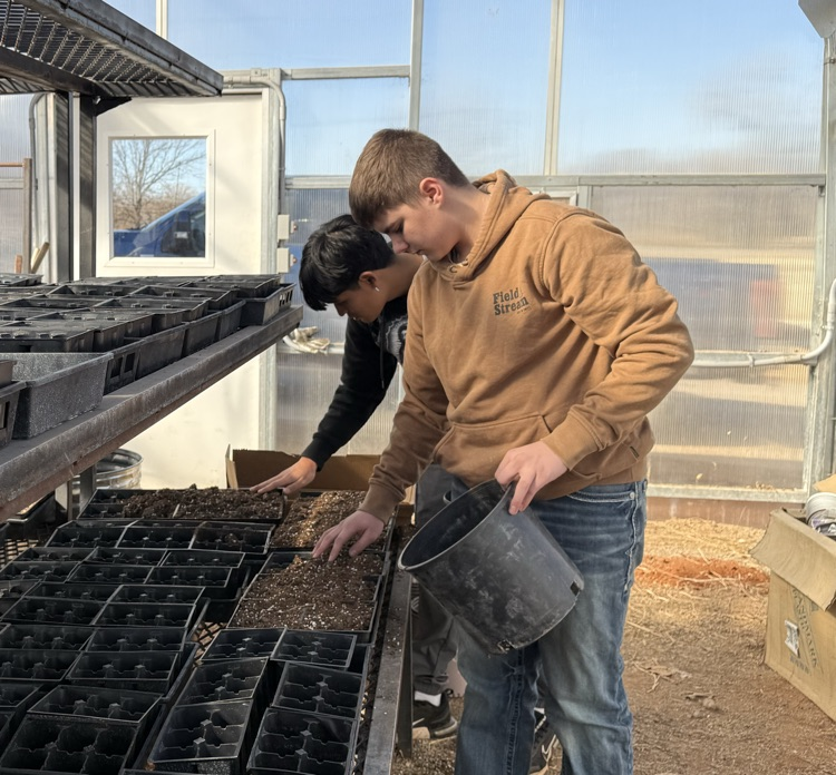 Canton FFA students planting new plants
