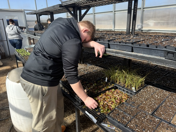 Canton FFA students planting new plants
