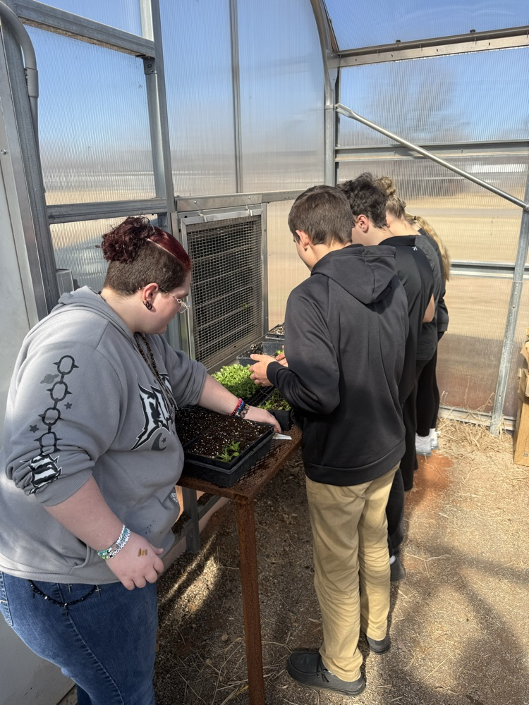 Canton FFA students planting new plants