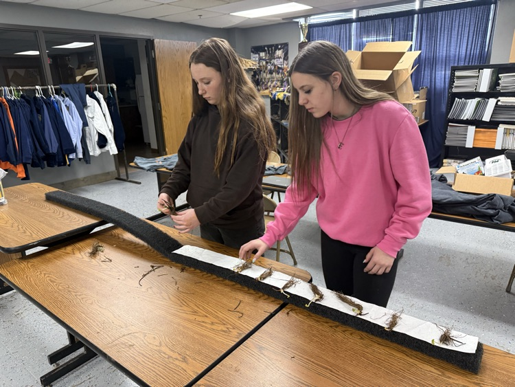 8th Grade starting their hydroponics system today.