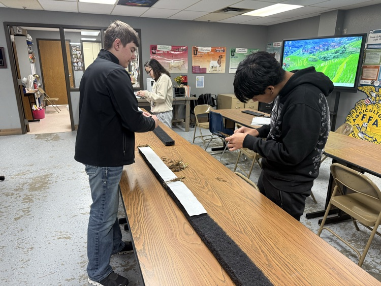 8th Grade starting their hydroponics system today.
