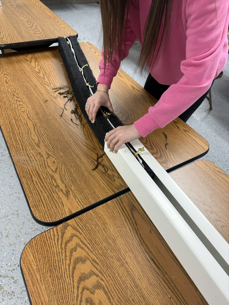 8th Grade starting their hydroponics system today.
