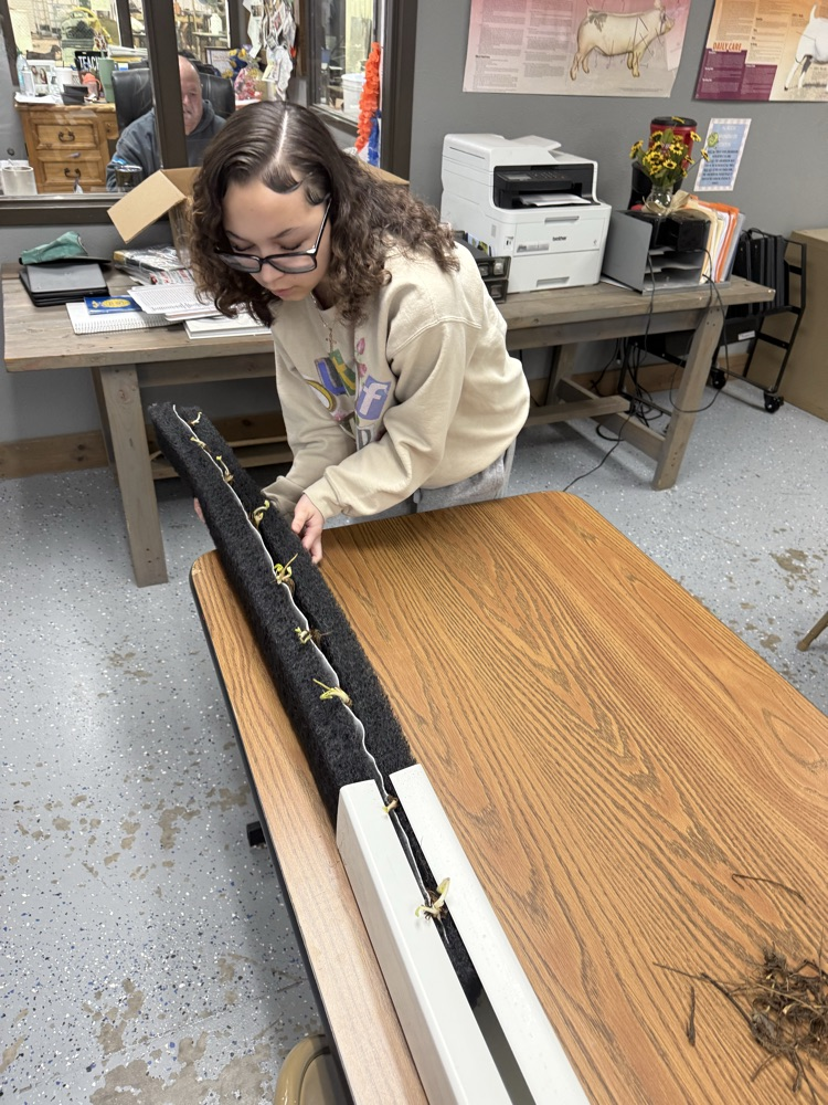 8th Grade starting their hydroponics system today.