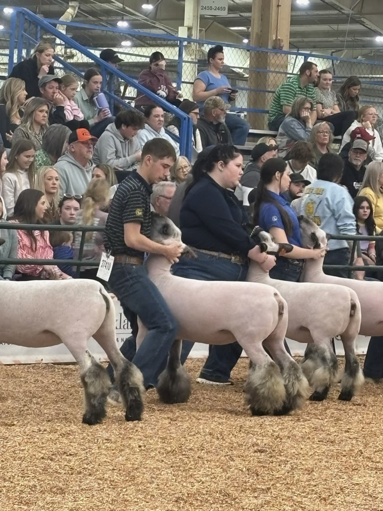 Conner Martin and Sisaly Hepner