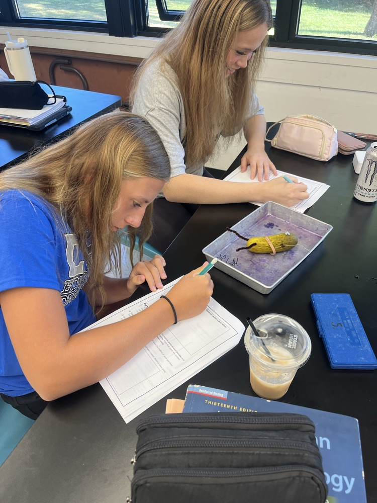 AP Lab