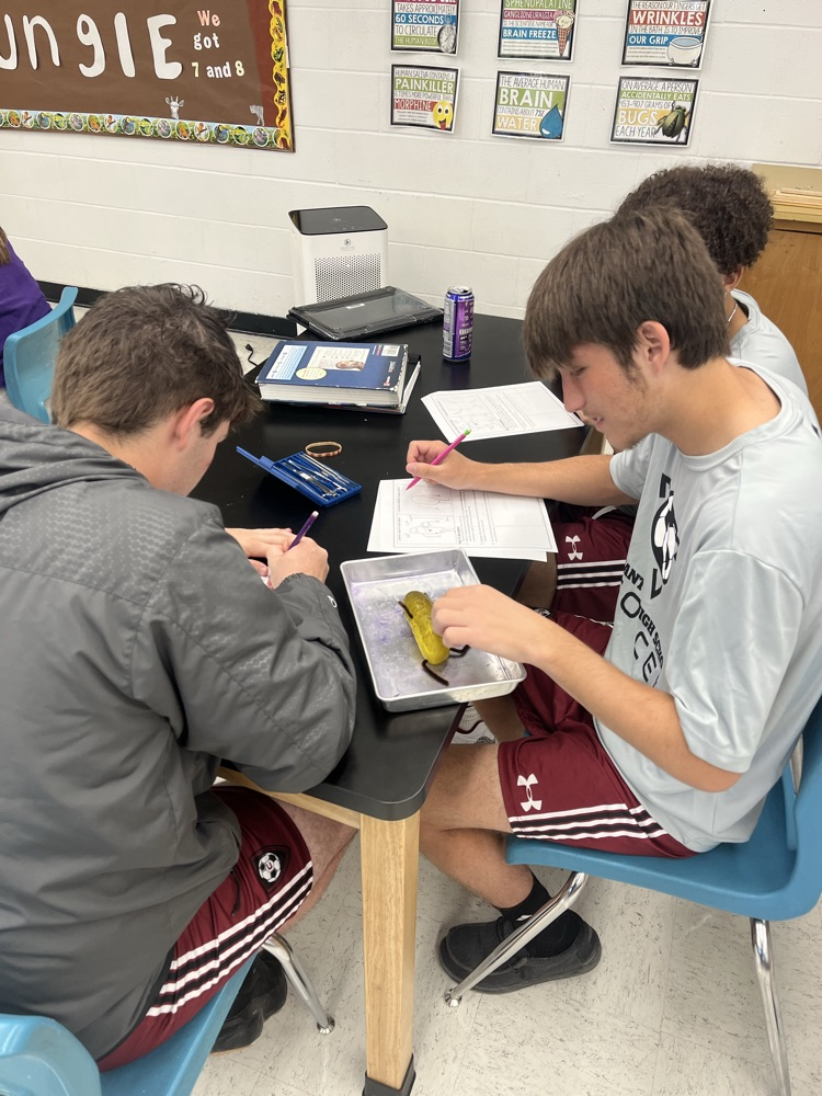 AP Lab