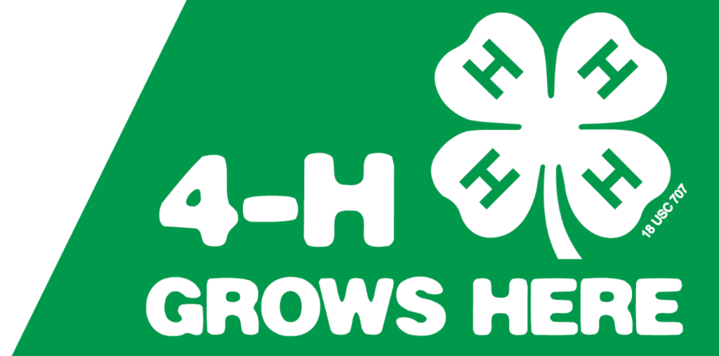 4H