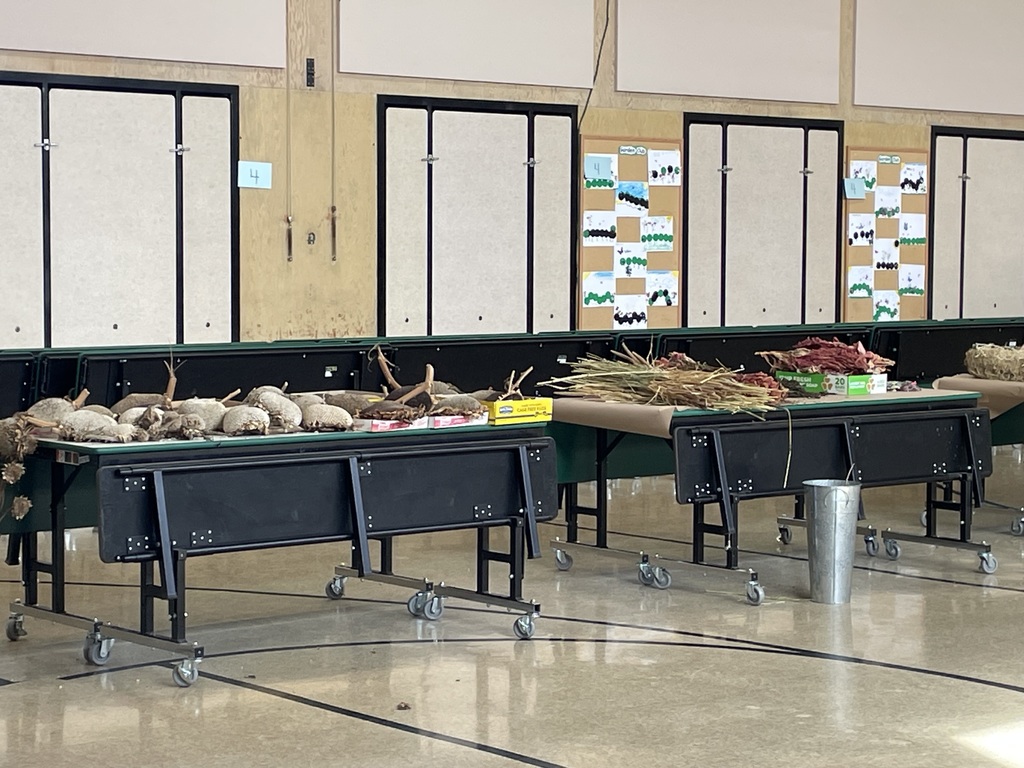 Crafts with the Capay Women's Club