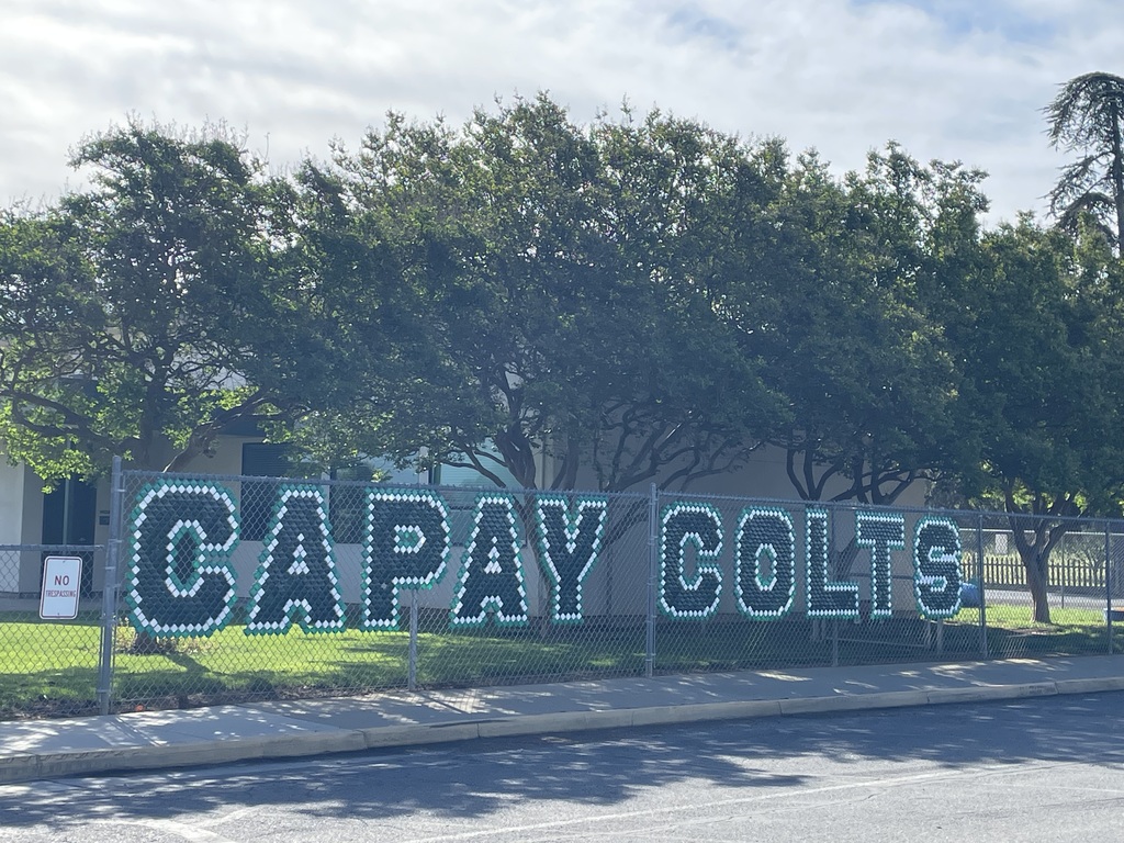 Capay Colts and grass and trees