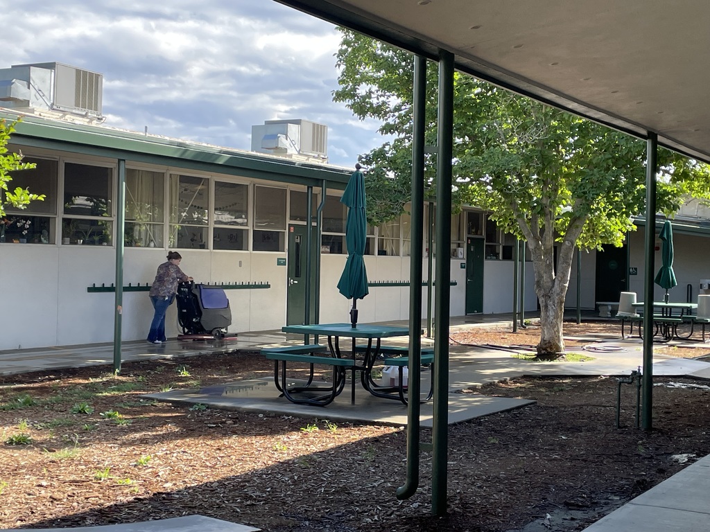 Jackie cleaning concrete walkways
