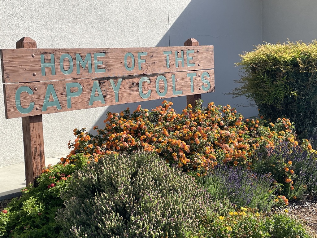 Home of the Colts sign