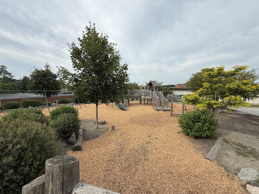 wood chips