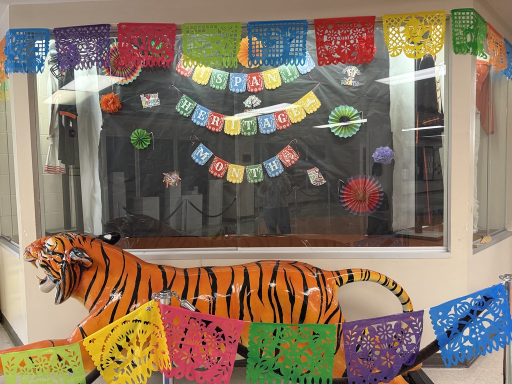 The library display window