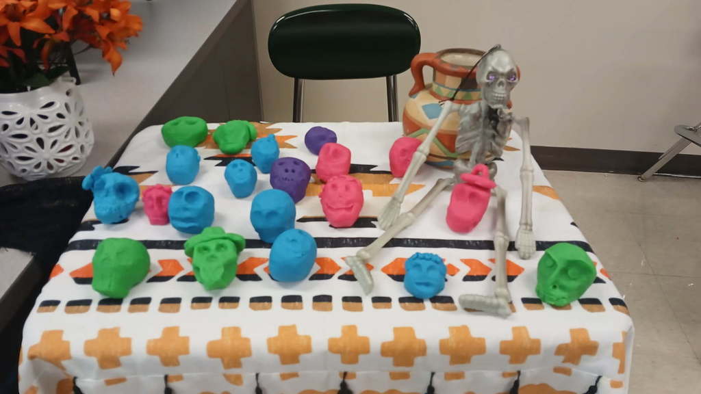 Another class's skulls