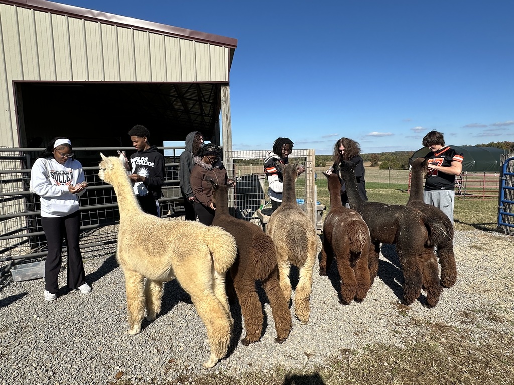 Students feed the animals