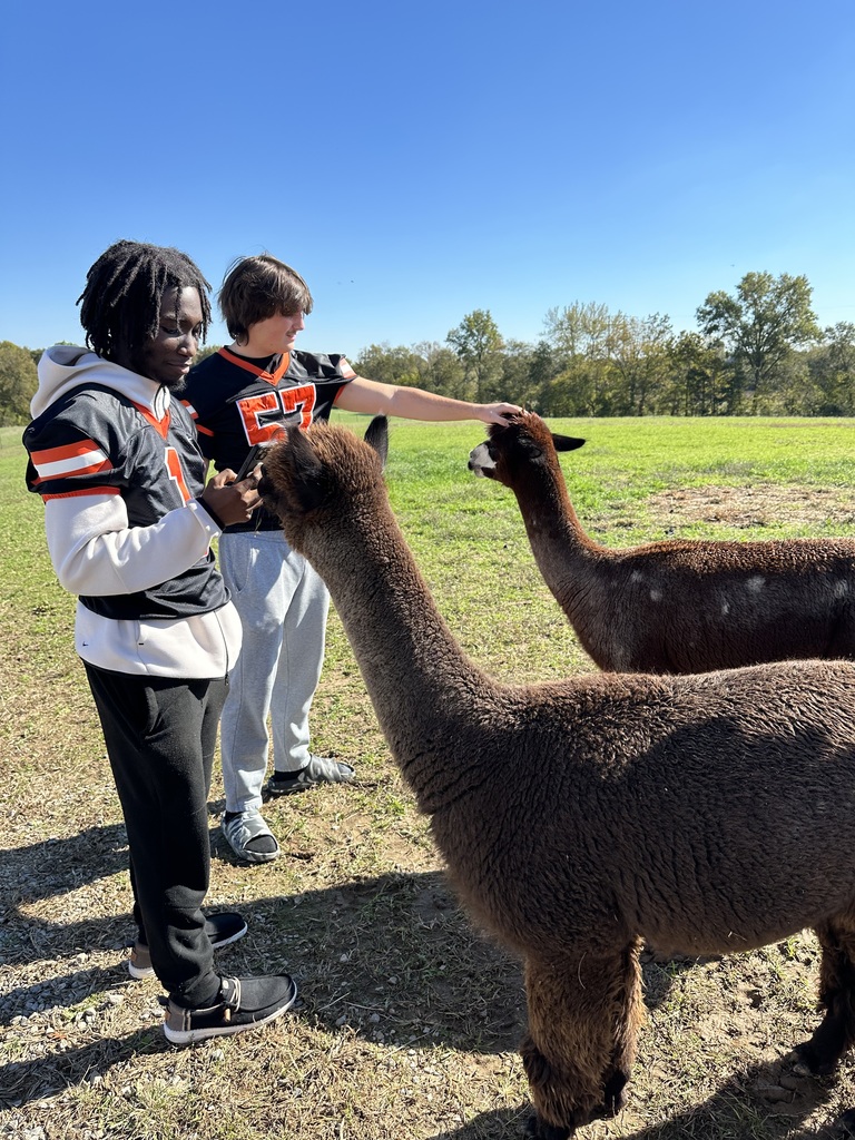 students pet the animals