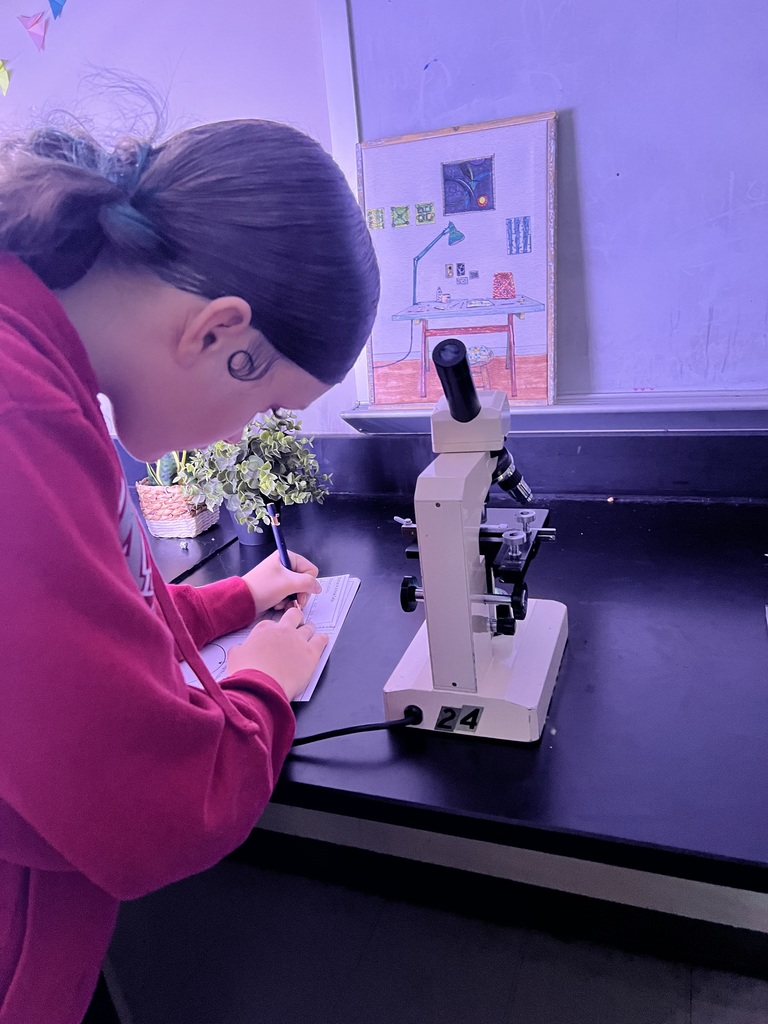 student records what she sees