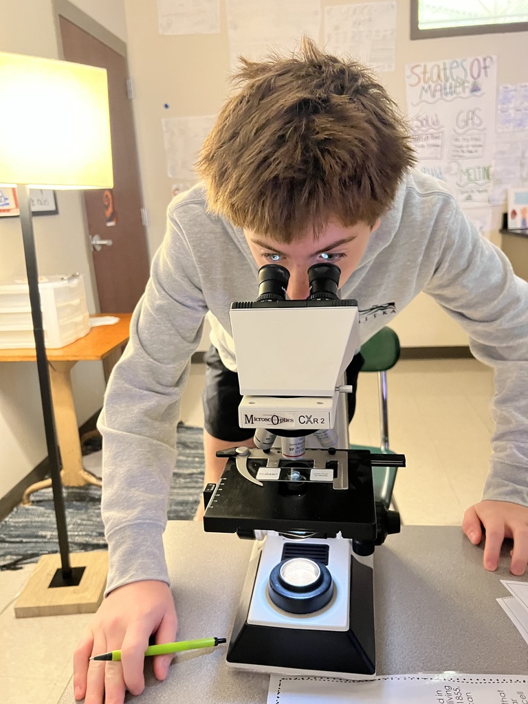 Student views cells through microsope