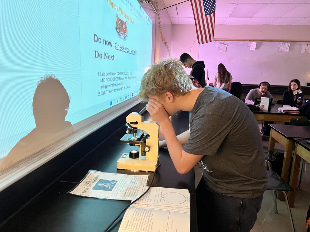 student uses microscope to view cells