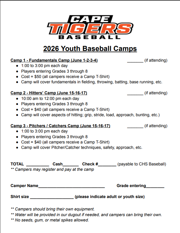 Youth Baseball Camps 