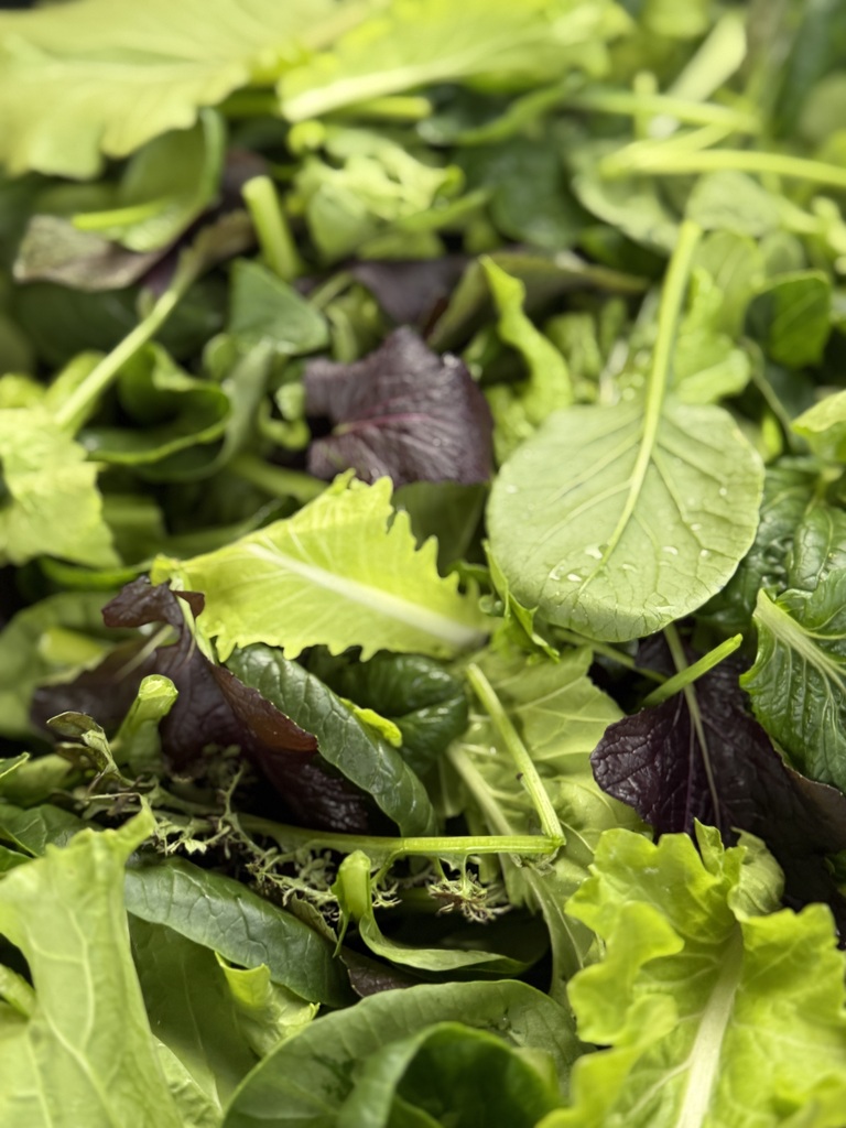 Mixed Greens - Southside Farms