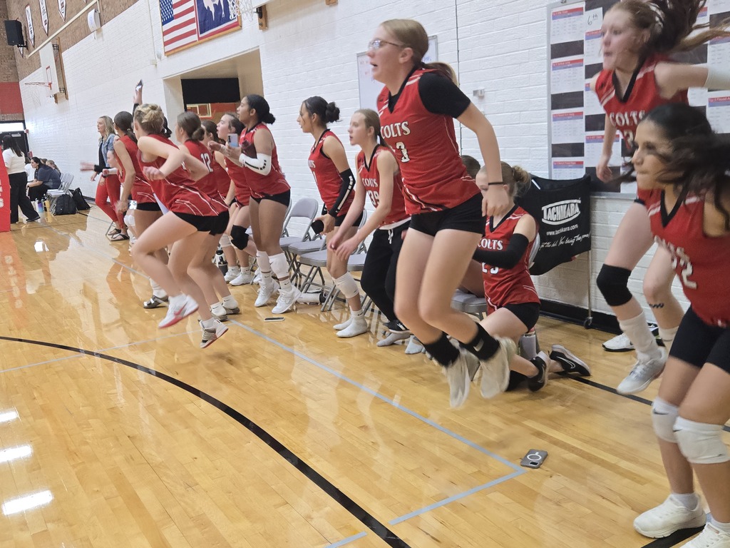vball 2