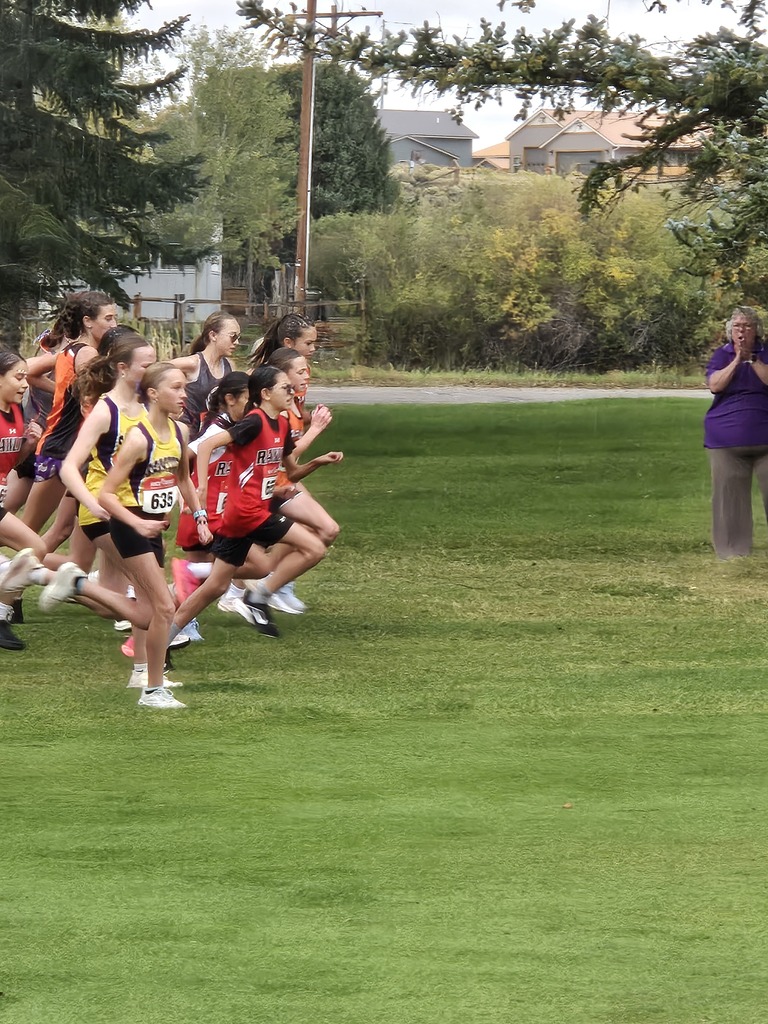xc