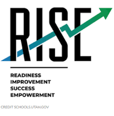 rise testing