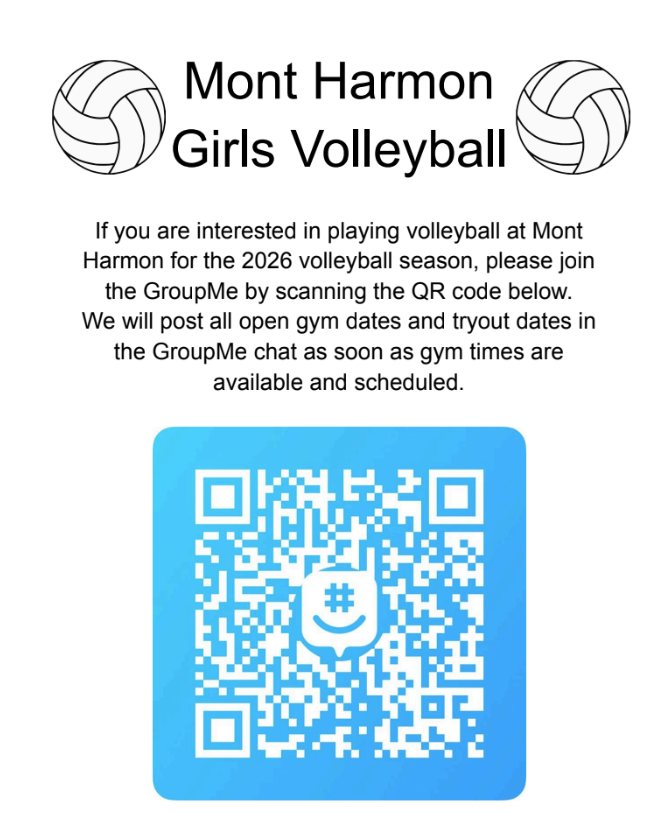 Volleyball