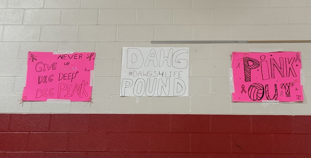 Annual Dig Pink Volleyball Game 10/02 and 10/05!