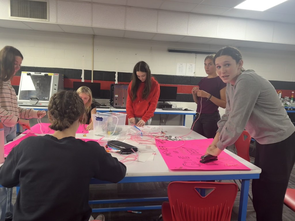 Annual Dig Pink Volleyball Game 10/02 and 10/05!