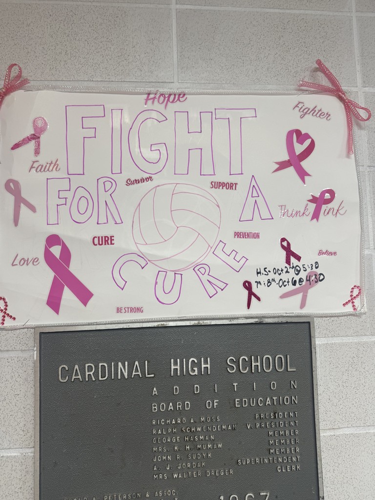 Annual Dig Pink Volleyball Game 10/02 and 10/05!