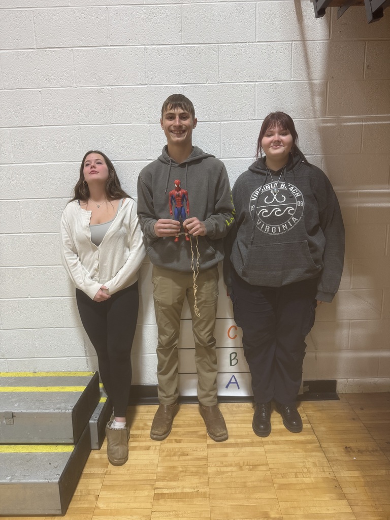 Barbie Bungie Jump Results