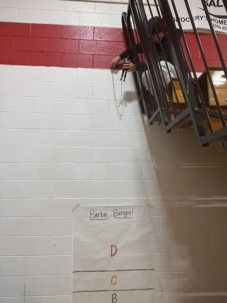 Barbie Bungie Jump Results