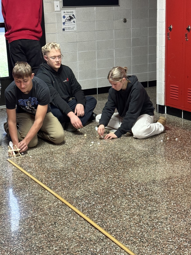 Marshmallow Catapults - Advanced Quantitative Reasoning project