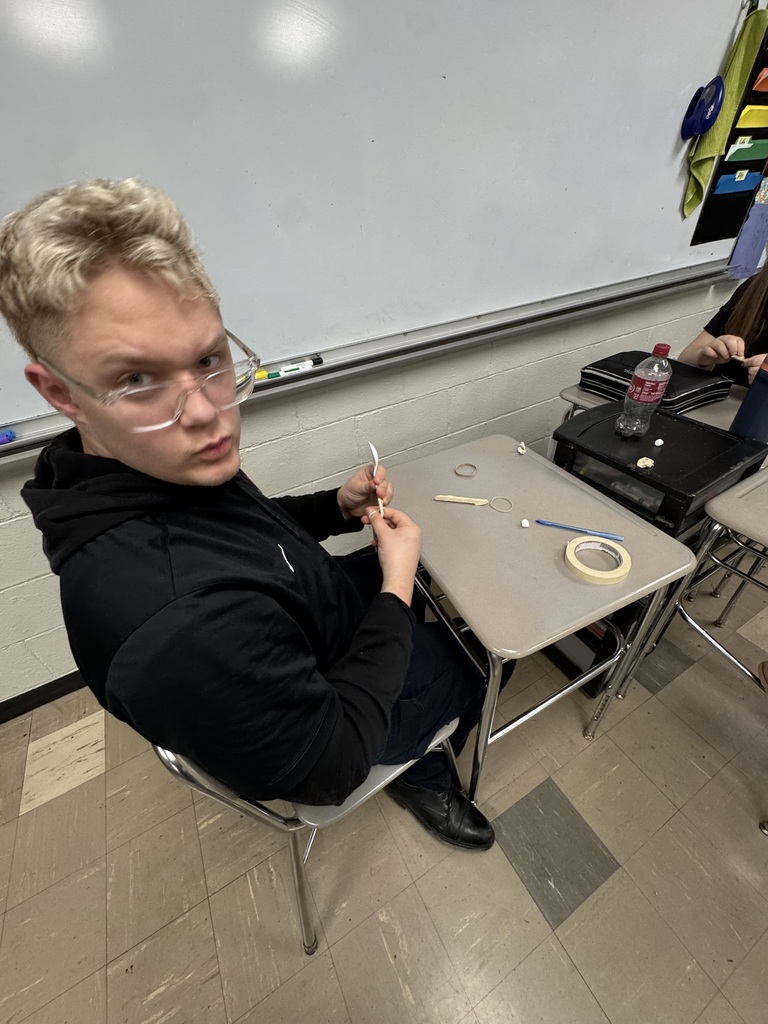 Marshmallow Catapults - Advanced Quantitative Reasoning project