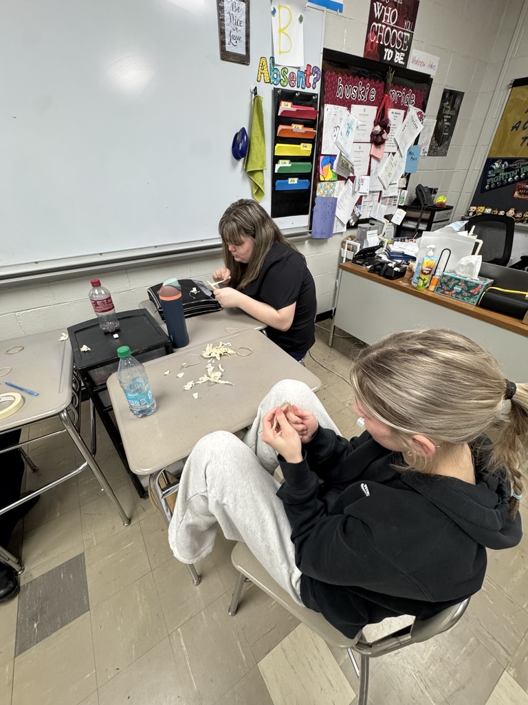 Marshmallow Catapults - Advanced Quantitative Reasoning project