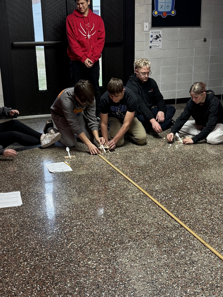 Marshmallow Catapults - Advanced Quantitative Reasoning project