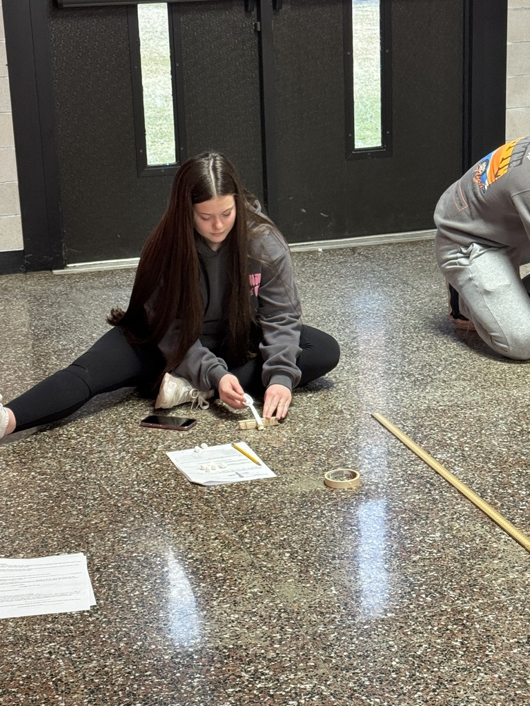 Marshmallow Catapults - Advanced Quantitative Reasoning project