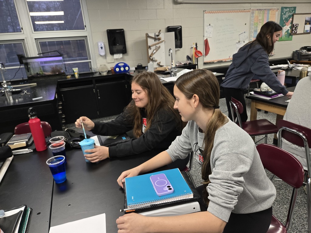 Honors Chemistry - Coloring Eggs to find out which colors the best.