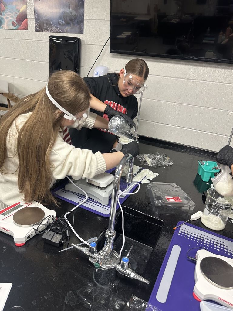 Miss Moon's students were making cheese in their chemistry class.