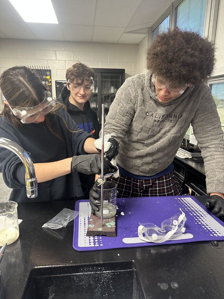 Miss Moon's students were making cheese in their chemistry class.