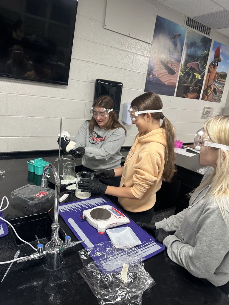 Miss Moon's students were making cheese in their chemistry class.