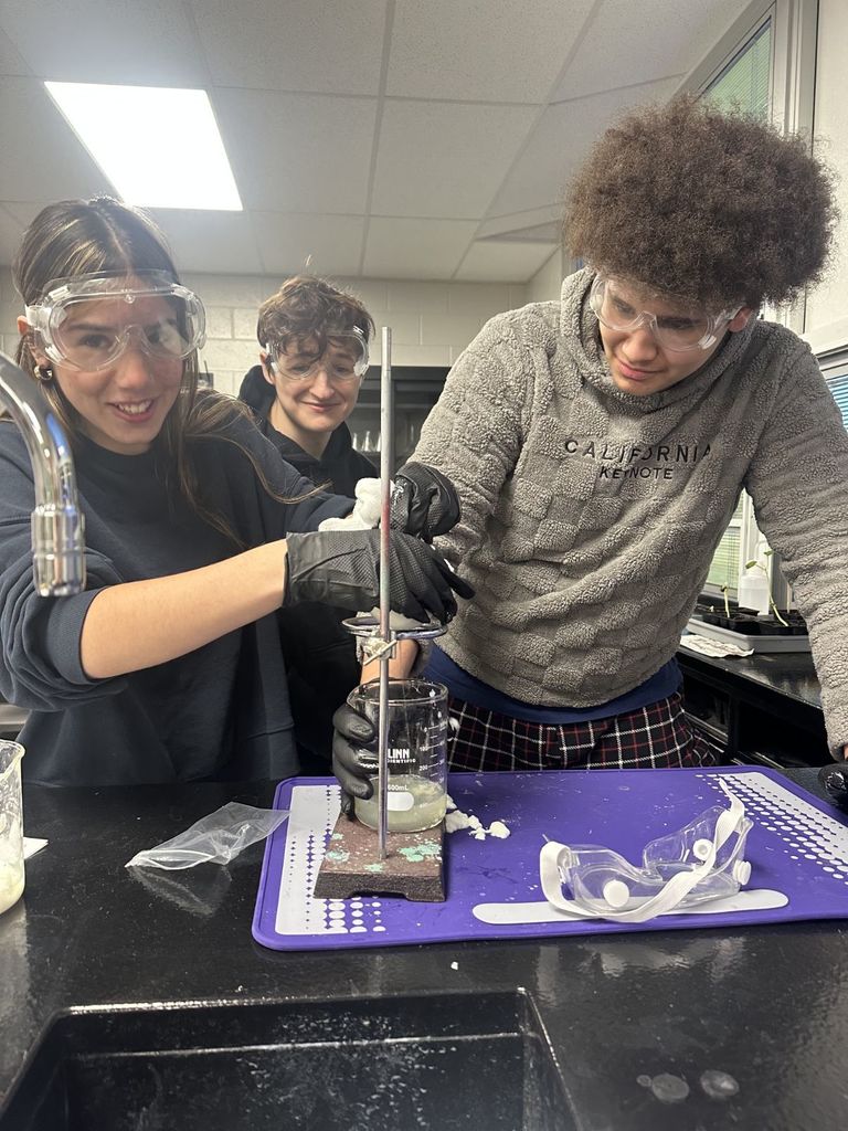 Miss Moon's students were making cheese in their chemistry class.